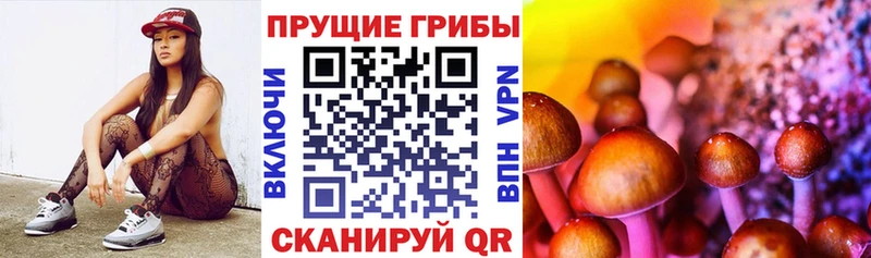 Псилоцибиновые грибы мухоморы  ОМГ ОМГ сайт  Грязовец 